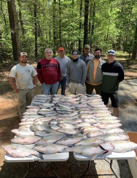 Clarks Hill Lake Striper Fishing |Big Group 8-12 | 5 Hours 